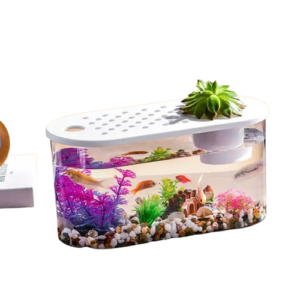 betta fish tank