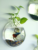 Acrylic White Colour Wall Hanging Fish Bowl with Free Color Stones (9 Inch)
